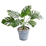 Kunstpflanzen Topfpflanzen Monstera 35cm Mini Künstliche Pflanze Plastik Blumentopf Dschungel Tropical Fake Plant Wohnzimmer Balkon Schlafzimmer Grün Deko (1 Pack)