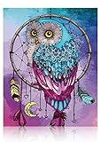 Gronda Malen DIY Blau Eule Vogel Tiere Bild Traumfänger Lila Set Natur Malerei Heimwerken Dekor Schlafzimmer mit Zubehör Stift Leinwand 40x50