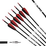 PG1ARCHERY 12er Pfeile Carbon, 30 Zoll Bogenpfeile für Bogenschießen mit Kunststoffbefiederung, Jagdpfeile für Bogen, Traditionellen Bogen, Recurvebogen und Langbog