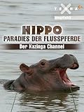 Hippo - Paradies der Flusspferde - Der Kazinga C