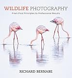 Wildlife Photography (English Edition)