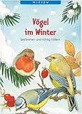 Vögel im Winter bestimmen und richtig fü