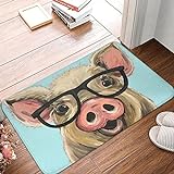 Nettes Schwein mit Brille Kunst Fußmatte Teppichmatte Teppich Anti-Rutsch Boden Dekor Bad Badezimmer Küche Schlafzimmer 45X75