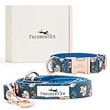 FREUDENTIER Hundeleine (2m) und Halsband im wundervollen Set - „Let's get Foxy“ Kollektion inkl. Geschenkbox - Längenverstellbare Leine - Winterfest & Pflegeleicht (30-42cm) - Händler aus Hamburg