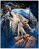Bougimal Malen Nach Zahlen Erwachsene, Schönes Wolf Bild ohne Rahmen 40 x 50