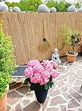 Schilfrohrmatte 180x600 cm - Natur Wind und Sichtschutzmatte aus Schilfrohr für Haus,Garten und Balk