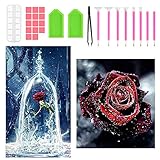 Diamant Painting Bilder Set, 2pcs 5d Diy Diamond Painting Rose Blumen, Rose Schöne und das Biest Diamant Painting, Diamond Painting Anfänger Kinder Set für Arts und Craft Aufkleber Home D