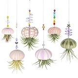 6 Stücke Hängender Quallen Luftpflanzen Halter Mini Schale Hängetopf Unterschiedliche Bunte Süße Sukkulenten Display Behälter Bespannt mit Kristall für Garten Strand Thema Party Dek