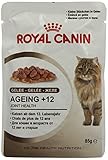 ROYAL CANIN Feline Portionsbeutel Multipack Ageing Plus 12 in Gelee 12x85g, 1er Pack (1 x 1.02 kg)