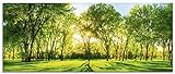 Artland Glasbilder Wandbild Glas Bild einteilig 125x50 cm Querformat Natur Wald Sonne Landschaft Frühling Wiese Bäume Grün T2O