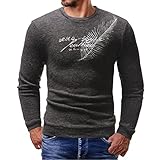 Pajiay Pullover Herren Rundhals Slim Fit Stickerei Drucken Strickwaren Herren Langarm Mode Klassisch Base Sweater Herren Business Work Lässig Warm Sweatshirt H