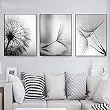LLXXD Abstrakte Wandplakat Natur Löwenzahn Blume Leinwand Gemälde Moderne Schwarz Weiß Kunstdruck Bild Wohnkultur Wohnzimmer-40x60cmx3 （kein Rahmen）