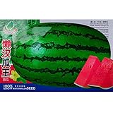 Harddo 30 Stücke Riesen Wassermelone Samen Gemüse Obst Samen Super Süße Wassermelone Samen Garten Ob