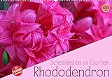 Rhododendron Schönheiten im Garten (Wandkalender 2022 DIN A2 quer)