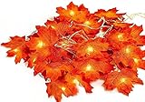 ZHBU 2 Packungen Maple Leaf Lichterkette - 3M 20 LED Gartenlichter Außenbeleuchtung, Girlande Lichterketten, Weihnachtsdekoration, Thanksgiving Dekoration, Home Festival Party