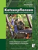 Katzenpflanzen: geeignete Pflanzen finden, Giftpflanzen erkennen, Vergiftung