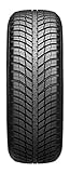 Nexen N'blue 4Season 205/55R16 91H Allw