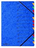 Pagna Ordnungsmappe Easy (Sammelmappe, 12 Fächer, 1-12) b