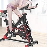 ZCYXQR Indoor Cycling Fahrrad Heimtrainer Liegeergometer Verstellbarer Lenker Sitzhöhe Fitnessrad Idealer Cardio-Trainer，A (Indoor-Sport)