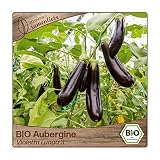 BIO Auberginen Samen Sorte Violetta Lunga 3 Gemüsesamen BIO Gemüse Saatgut samenfeste Auberg
