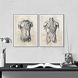Poster Bild 2 Stück 40 x 60 cm Rahmenlos Körper Leinwand Kunst und Poster Vintage Wandposter Arzt Klinik Dekor HD Gemälde Bild Druckk