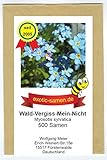 Wald-Vergiss-Mein-Nicht - Myosotis sylvatica - Bienenweide - 500 S