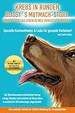 Krebs in Hunden - Blissy´s Mutmach-Story könnte auch das Leben deines Hundes verlängern.: Spezielle Kochmethoden & Liebe für gesunde Vierb