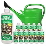 ABACUS 12x 1000 ml Stone Refresher + 14 Liter Gießkanne - Steinreiniger Fugenreiniger Algenex Algenvernichter Grünbelagentferner Wege ohne Glyphosat Unkrautvernichter (7410.12)