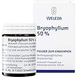 WELEDA Bryophyllum 50% Pulver, 50 g