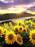 Diamant Malerei Sonnenblume 5D DIY Diamant Stickerei Sonnenuntergang Strass Bild Kreuzstich Mosaik Verkauf Handgemachte Geschenk A4 40x50