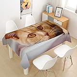Hearda Tischdecke Abwaschbar Rechteckig, 3D-Haustierkatzendruck Polyester Tischdecken Wasserdicht Pflegeleicht Tischtuch für Küche Party Outdoor Garten -Nicht-Wachstuch (Orangene Katze,150x210cm)