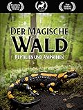 Der Magische Wald: Reptilien und Amphib