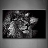 First Wall Art Löwe Löwen Bilder Leinwand 24x36inch Bild Schwarz Weiß Tier Wandbilder Wohnzimmer Moderne für Schlafzimmer Dekoration Wohnung Home Deko Kunstdruck