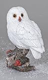 Formano Eule Owl Eulen-Figur Deko-Kautz Herbsteule Herbstdeko/Weihnachten Schneeeule Wintereule Weiß Stehend 18cm Groß