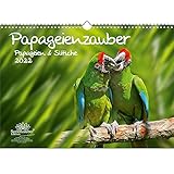 Papageienzauber Papageien und Sittiche DIN A3 Kalender für 2022 - Geschenkset Inhalt: 1x Kalender, 1x Weihnachtskarte (insgesamt 2 Teile)