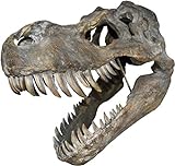 Nemesis Now Wandschild Tyrannosaurus Rex Totenkopf, groß, 51,5 cm, B