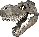 Nemesis Now Wandschild Tyrannosaurus Rex Totenkopf, groß, 51,5 cm, B