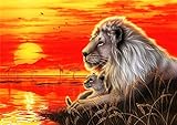 WOWDECOR DIY Malen nach Zahlen für Erwachsene Kinder Mädchen, König der Löwen Sonnenuntergang Meer 40x50cm Vorgedruckt Leinwand-Ölgemälde (ohne Rahmen)