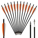 Huntingdoor Armbrustpfeile 16 Zoll Carbonpfeile Armbrustbolzen Bolzen für Armbrust Bogenschießen 12er (Orange-16Inch)