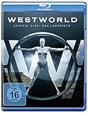 Westworld - Die komplette 1. Staffel [Blu-ray]