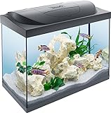 Tetra Starter Line 80 L Aquarium Komplett-Set mit LED-Beleuchtung - stabiles Einsteigerbecken mit Technik, Futter und Pflegemitteln, Farbe: Schw