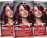 Brillance Intensiv-Color-Creme 859 Violette Wildseide Stufe 3 (3 x 160 ml), dauerhafte Haarfarbe mit Diamant-Glanz-Effekt & Pflege-Conditioner, 10 Wochen Farb