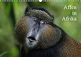 Affen in Afrika (Wandkalender 2022 DIN A3 quer)