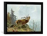 Gerahmtes Bild von Carl Friedrich Deiker Röhrender Hirsch, Kunstdruck im hochwertigen handgefertigten Bilder-Rahmen, 40x30 cm, Schw