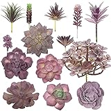 AIVORIUY 14 Stück Künstliche Assorted Sukkulenten Pflanzen Ungetopfte Unbefleckt Lila Faux Beflockte Sukkulenten Gefälschte Pflanze für Blumenarrangement Garten Arrangement Home Indoor Dek