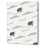 Hammermühle (Technik) Recycling gefärbtes Papier, 9,1 kg, 8–1/2 x 11, Kanarienvogel, 5000 Blatt/