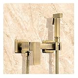 Bidets Badarmaturen Heiß- und Kaltwassermischer Duschkopf Waschen Auto Haustier Wandmontiertes Bidet Sprayer S
