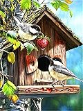 SongYww DIY 5D Diamond Painting Set für Kinder/Erwachsene Vogel Diamant Painting Bilder Full Drill Kristall Stickerei Kreuzstich Kunsthandwerk für Home Wand Dekorationen Geschenk 60x80