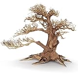 Amtra A8147654 Holz Oriental Wind 4, S