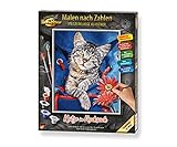 Schipper 609240842 Malen nach Zahlen, Katze im Rucksack-Bilder malen für Erwachsene, inklusive Pinsel und Acrylfarben, 24 x 30